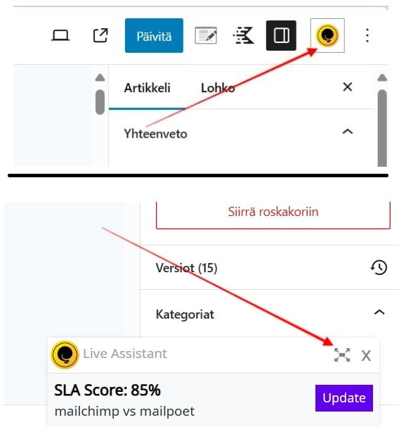 Nuolet osoittamassa, mistä Squirrly SEO valikko löytyy